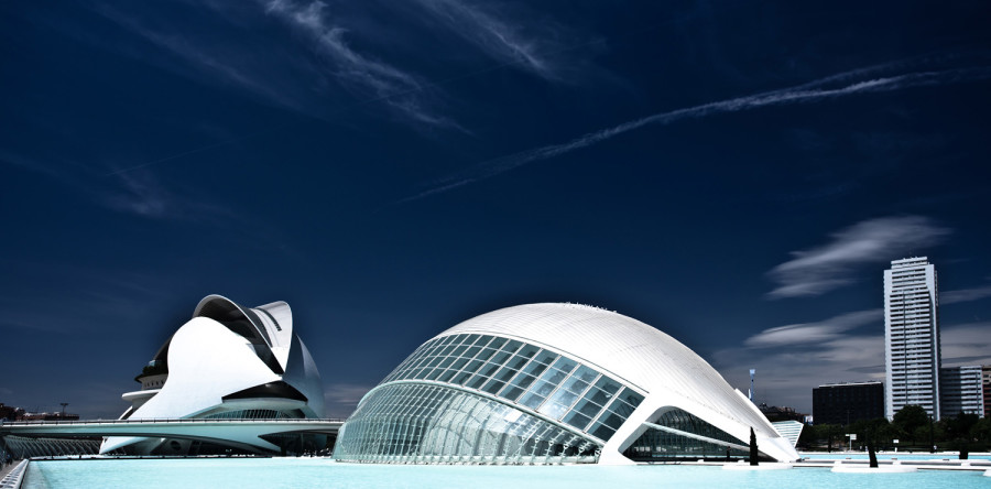 Тum aenean nonummy hendre auris lorm porta ser.